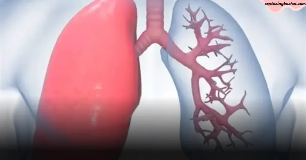 Copy of Untitled 2 2